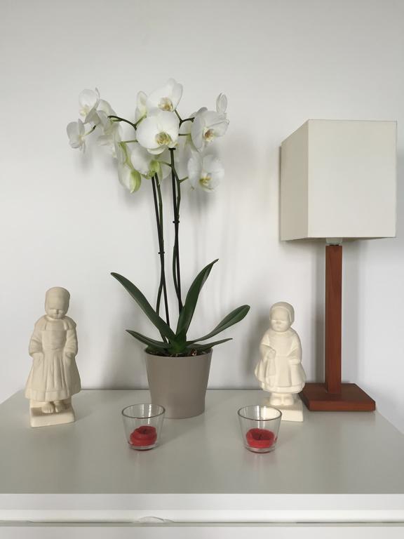 Appartement Design I - Port Du Rosmeur - Douarnenez Ngoại thất bức ảnh
